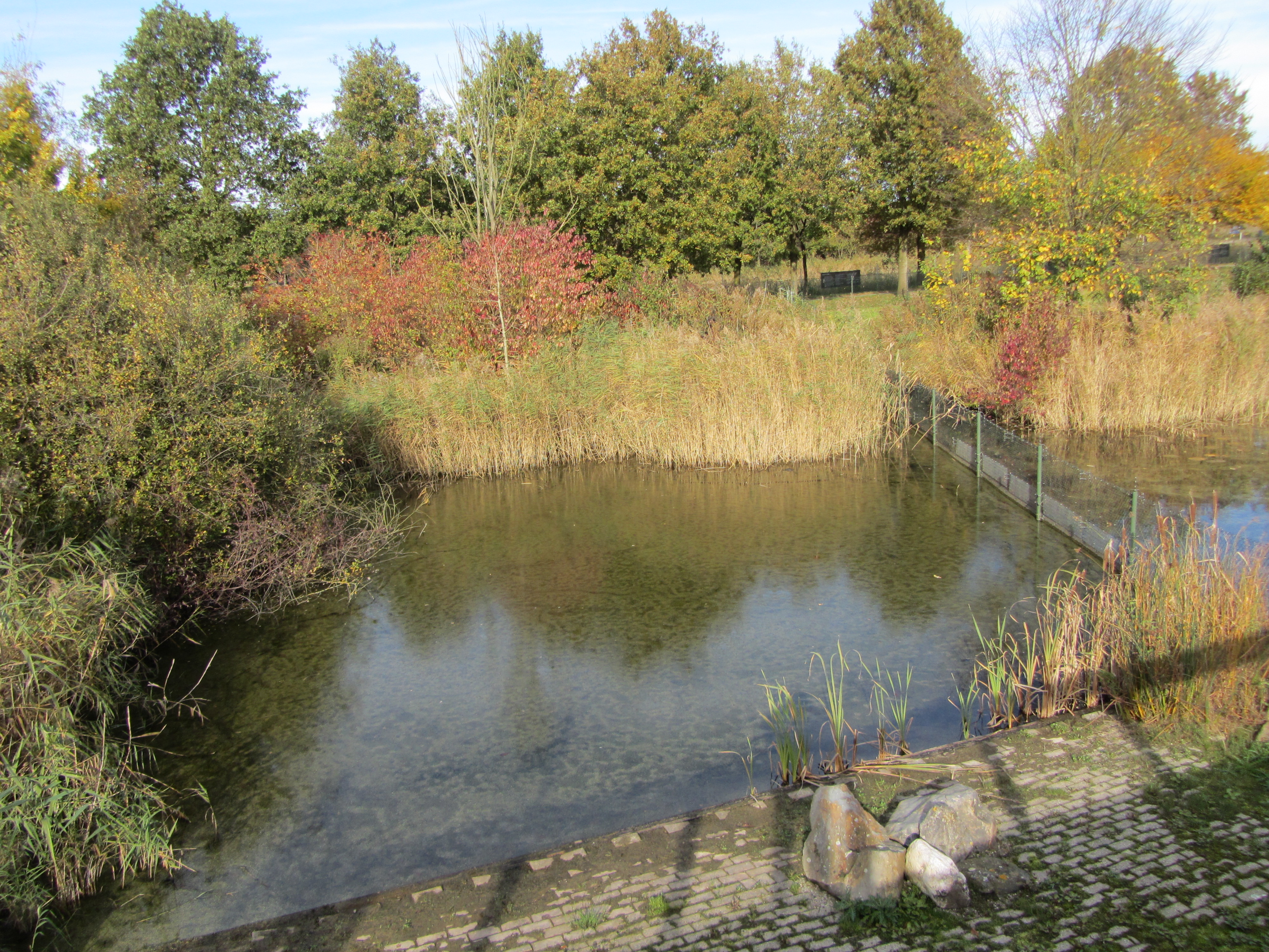 Ipad Marianne 074.JPG